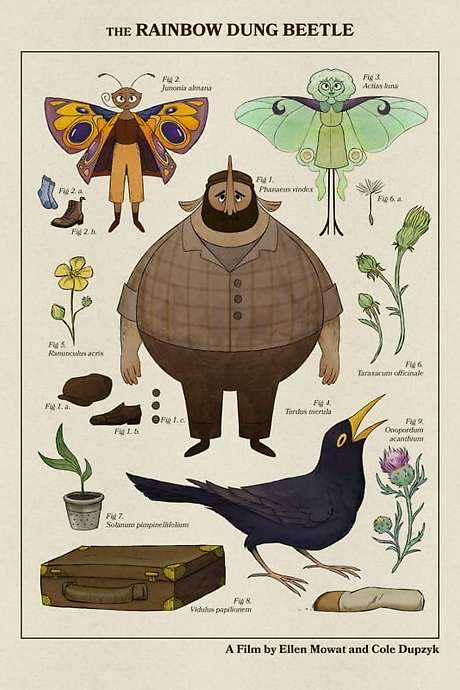 The Rainbow Dung Beetle